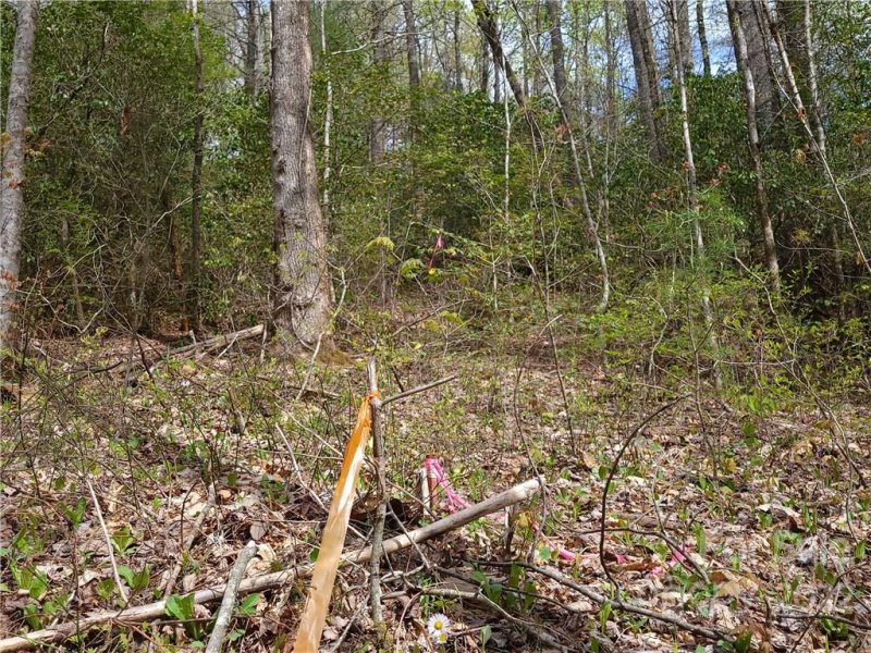 Property image 4 at L302 Lynn Crest Drive, Brevard, NC 28712