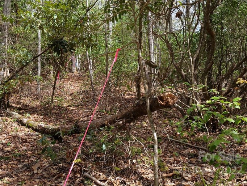 Property image 5 at L302 Lynn Crest Drive, Brevard, NC 28712