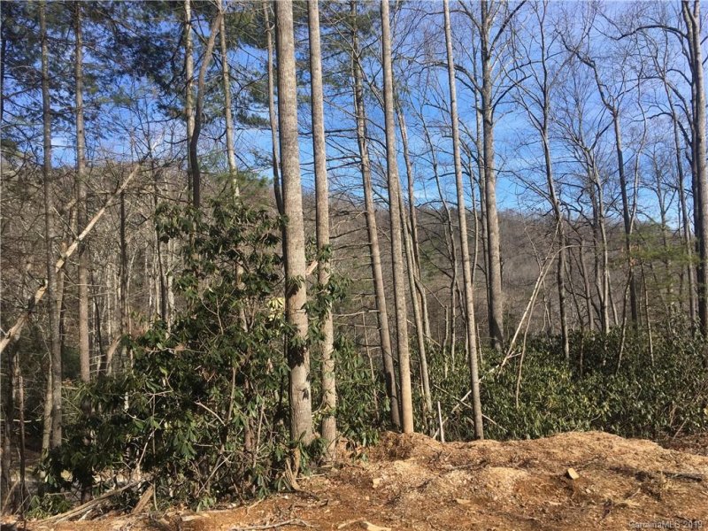 Property image 2 at 1367 Old Mill Road, Hendersonville, NC 28792