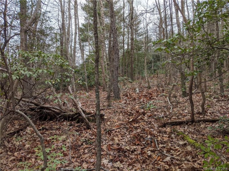 99999 Prospectors Trail