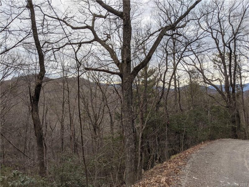 Property image 3 at 99999 Prospectors Trail, Black Mountain, NC 28711