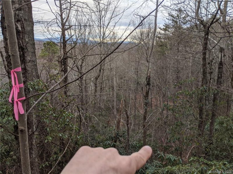 Property image 5 at 99999 Prospectors Trail, Black Mountain, NC 28711