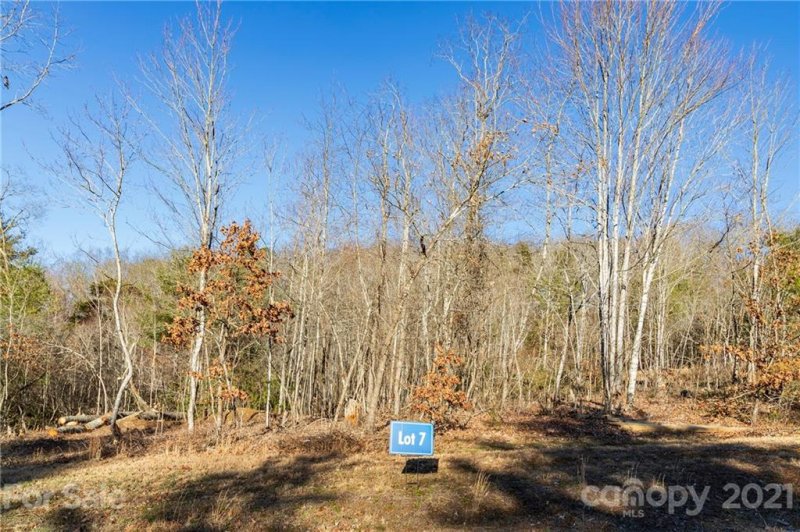 120 Saddle Ridge Drive