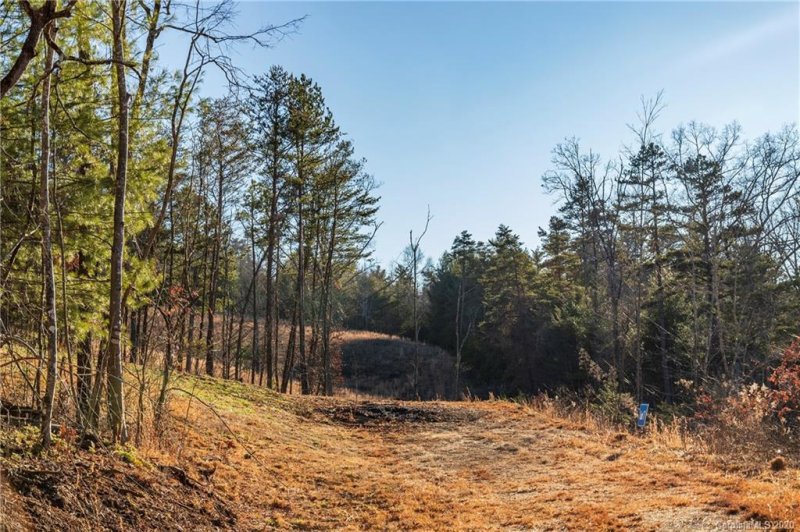 Property image 2 at 132 Saddle Ridge Drive, Alexander, NC 28701