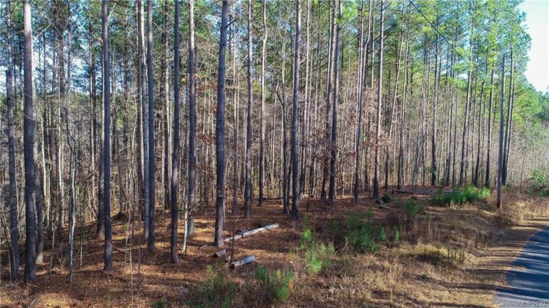 Property image 5 at 3835 Big Creek Road, Morganton, NC 28655