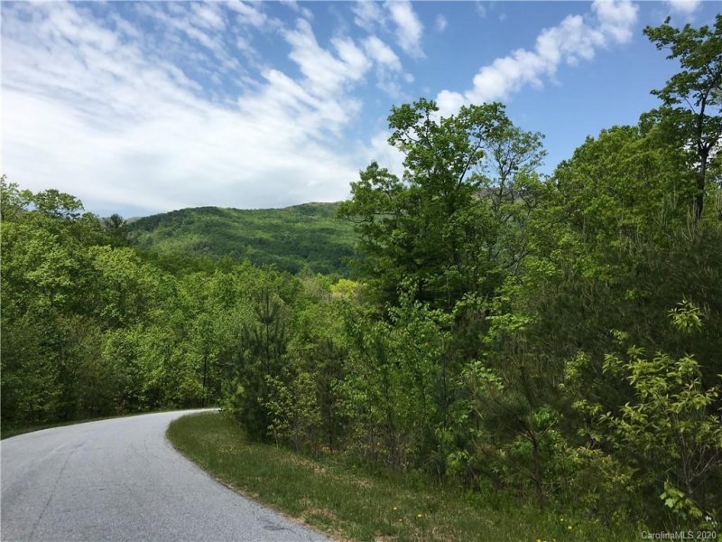 Property image 3 at 61 Nuthatch Court, Fairview, NC 28730