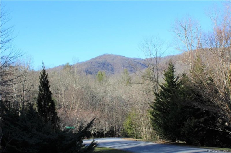 Property image 4 at 61 Nuthatch Court, Fairview, NC 28730