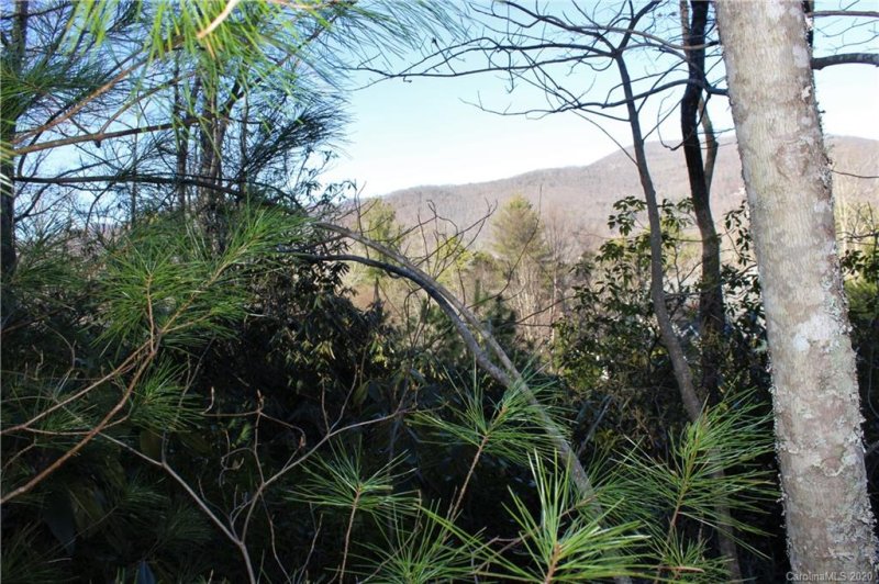 Property image 5 at 61 Nuthatch Court, Fairview, NC 28730