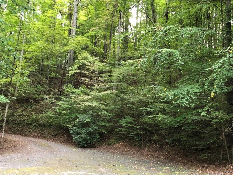 Property image 4 at 0000 Hardwood Road, Burnsville, NC 28714