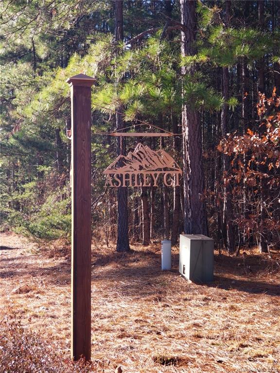 Property image 5 at 0 Ashley Court, Mill Spring, NC 28756