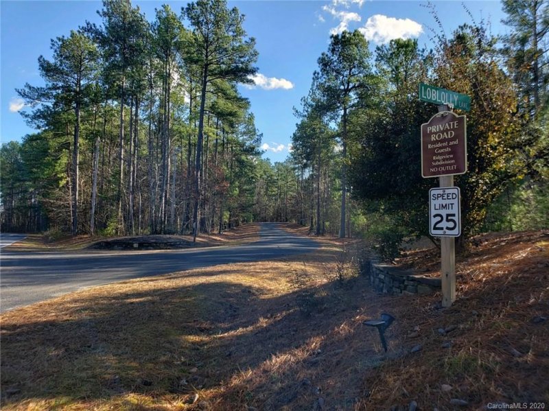 Property image 2 at 0 Loblolly Lane, Mill Spring, NC 28756