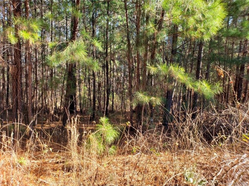 Property image 5 at 0 Loblolly Lane, Mill Spring, NC 28756