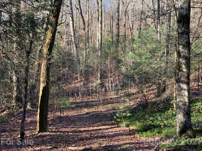 Property image 2 at Lot 14 Liz Reece Road, Rosman, NC 28772