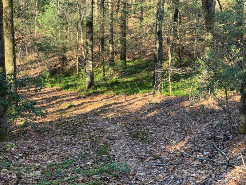 Property image 3 at Lot 14 Liz Reece Road, Rosman, NC 28772