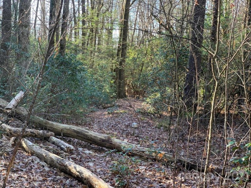 Property image 4 at Lot 14 Liz Reece Road, Rosman, NC 28772