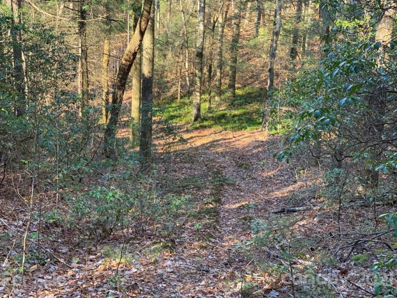 Property image 5 at Lot 14 Liz Reece Road, Rosman, NC 28772