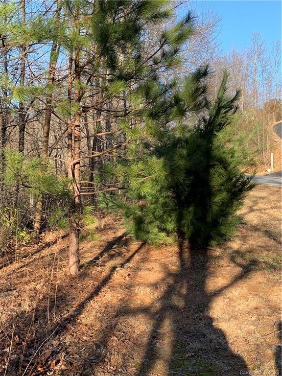 Property image 3 at 80 Arcadia Falls Way, Old Fort, NC 28711