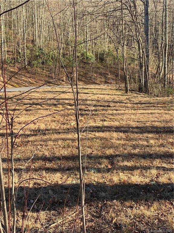 Property image 4 at 80 Arcadia Falls Way, Old Fort, NC 28711