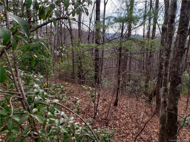 Property image 2 at Lot 18 Mountain Vista Lane, Rosman, NC 28772