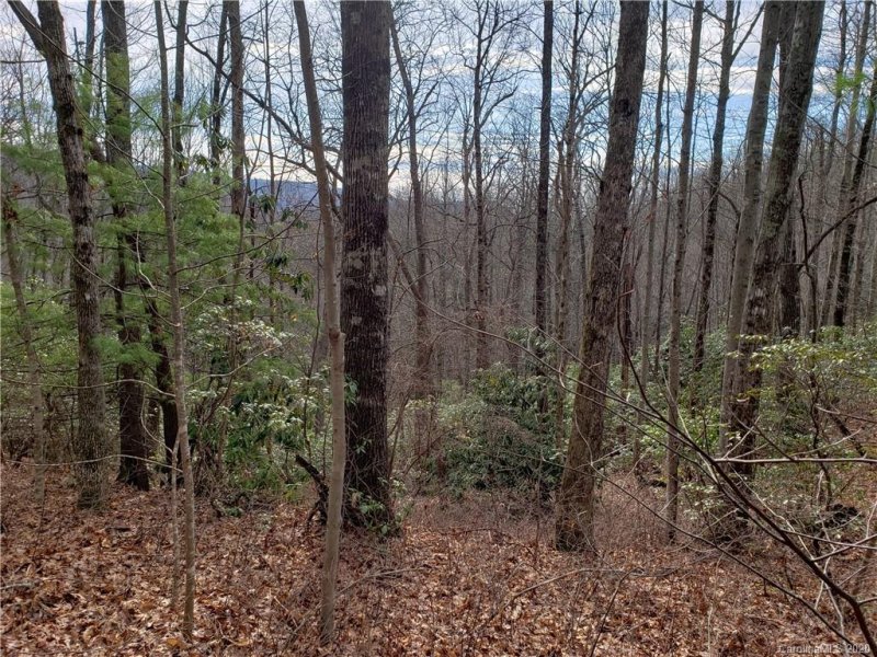 Property image 4 at Lot 18 Mountain Vista Lane, Rosman, NC 28772