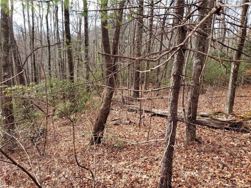 Property image 5 at Lot 18 Mountain Vista Lane, Rosman, NC 28772