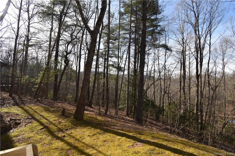 Property image 4 at 1215 Kanuga Ridge Road, Hendersonville, NC 28739