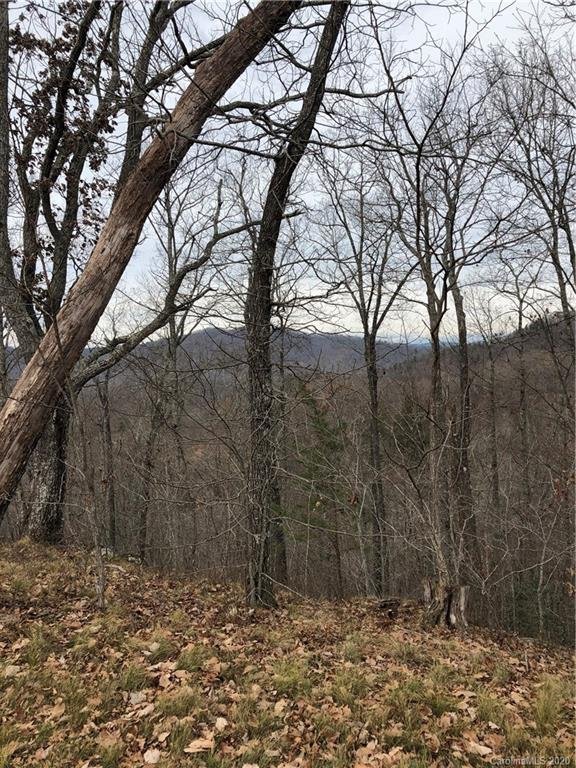 Property image 2 at 399 Mountain Forest Drive, Union Mills, NC 28167