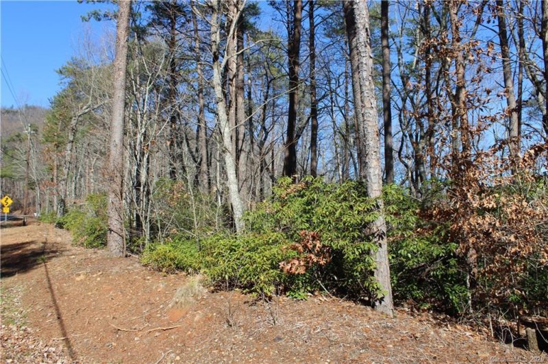 Property image 3 at 000 White Oak Mountain Road, Columbus, NC 28722