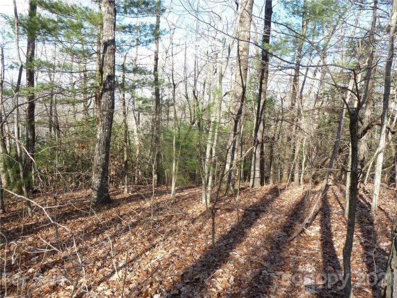 Property image 5 at 52 N Pointe Drive, Zirconia, NC 28790