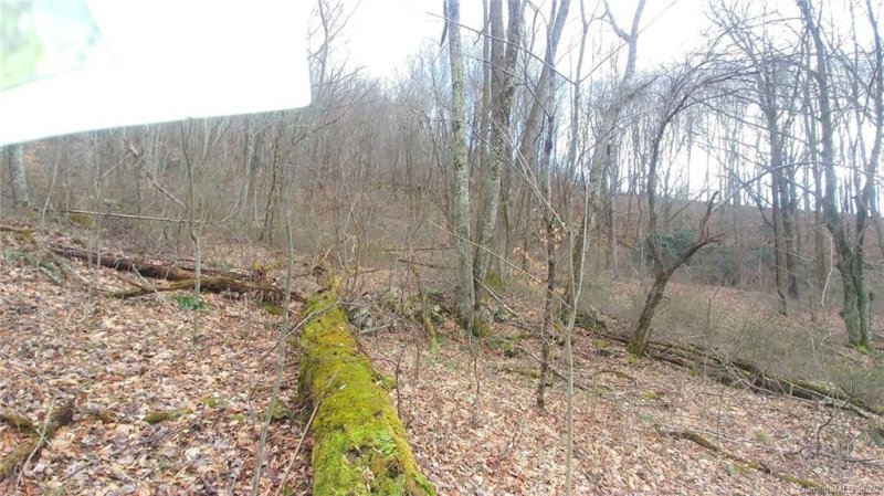 Property image 3 at 9 10 Split Pine Cove, Clyde, NC 28721