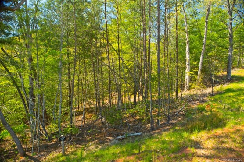 Property image 2 at 47 River Club Drive, Cullowhee, NC 28723