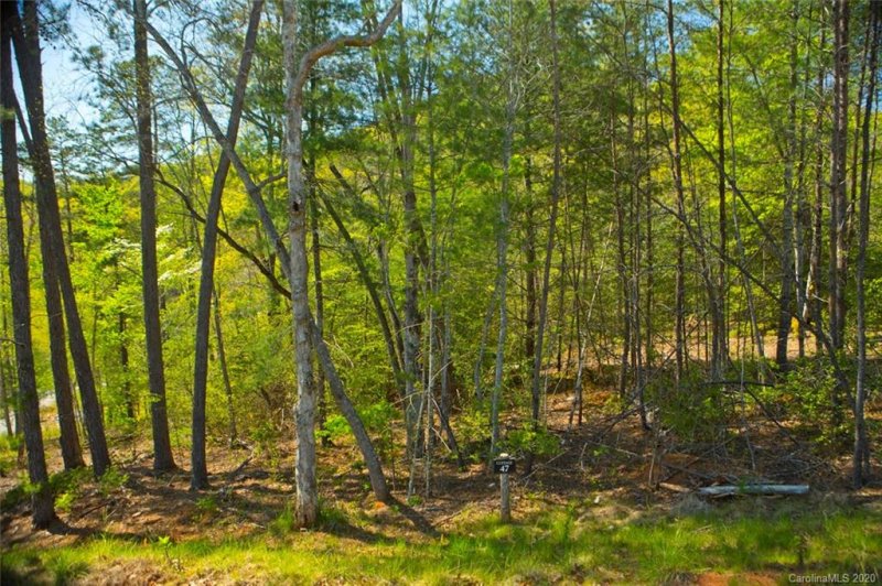 Property image 3 at 47 River Club Drive, Cullowhee, NC 28723