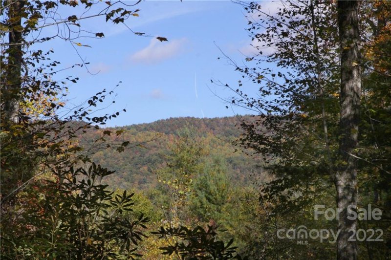 Property image 2 at Lot 12 Silver Maple Trail, Brevard, NC 28712