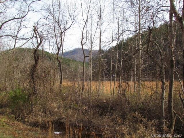 Property image 3 at 00 Silver Creek Road, Mill Spring, NC 28756