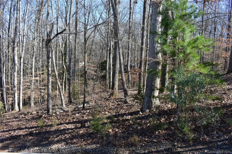 Property image 5 at 8124 Bayview Lane, Belmont, NC 28012