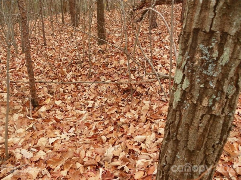 Property image 4 at 00 Sequoia Drive, Gastonia, NC 28052