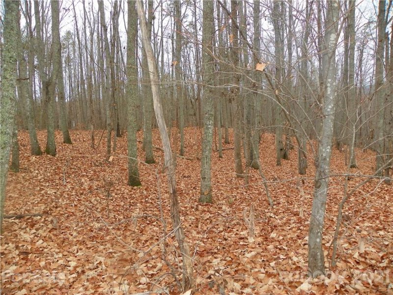 Property image 5 at 00 Sequoia Drive, Gastonia, NC 28052