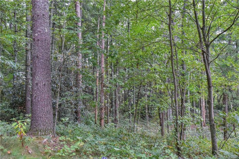 Property image 5 at 99999 Clay Street, Fairview, NC 28730