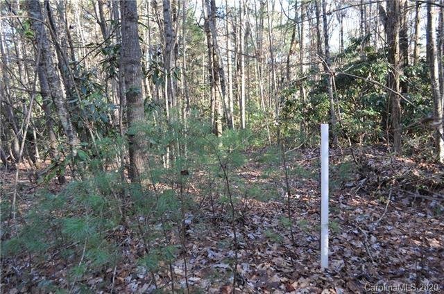 Property image 3 at Tbd Eagle Lake Drive, Brevard, NC 28712