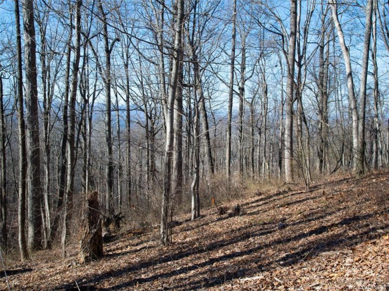 Property image 2 at 99999 Old Forest Drive, Asheville, NC 28803