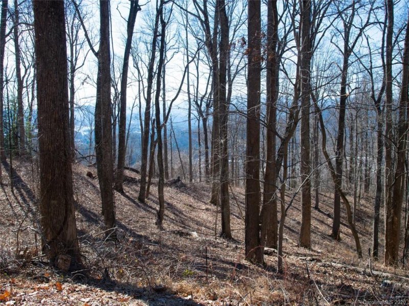 Property image 3 at 99999 Old Forest Drive, Asheville, NC 28803