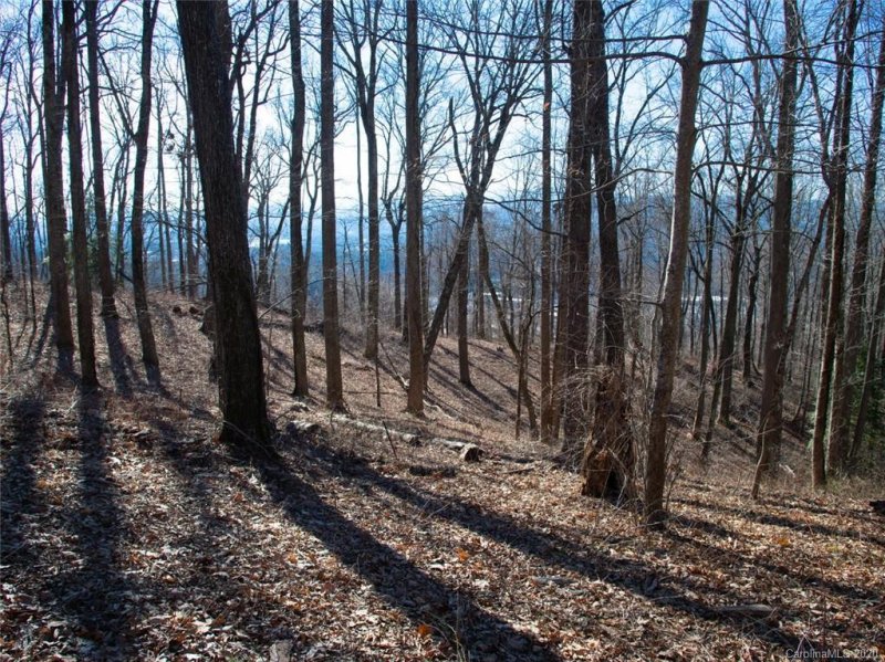 Property image 4 at 99999 Old Forest Drive, Asheville, NC 28803