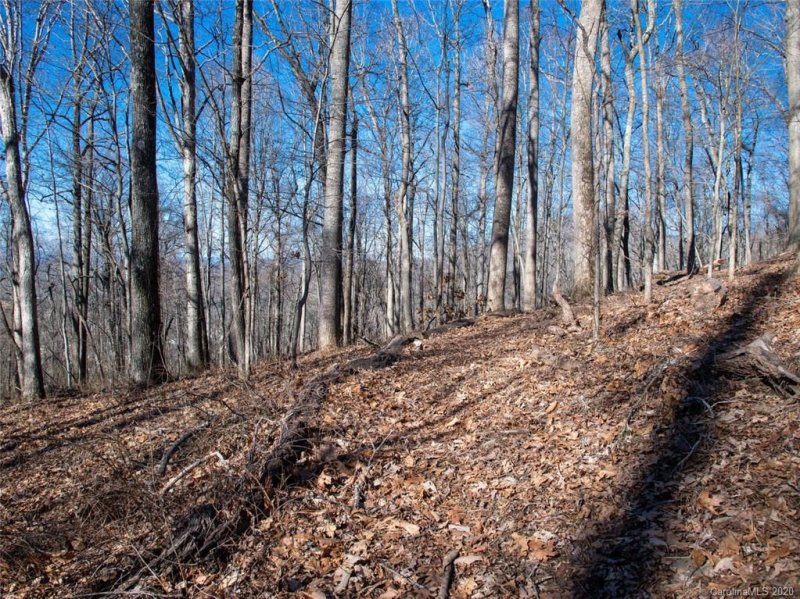 Property image 5 at 99999 Old Forest Drive, Asheville, NC 28803