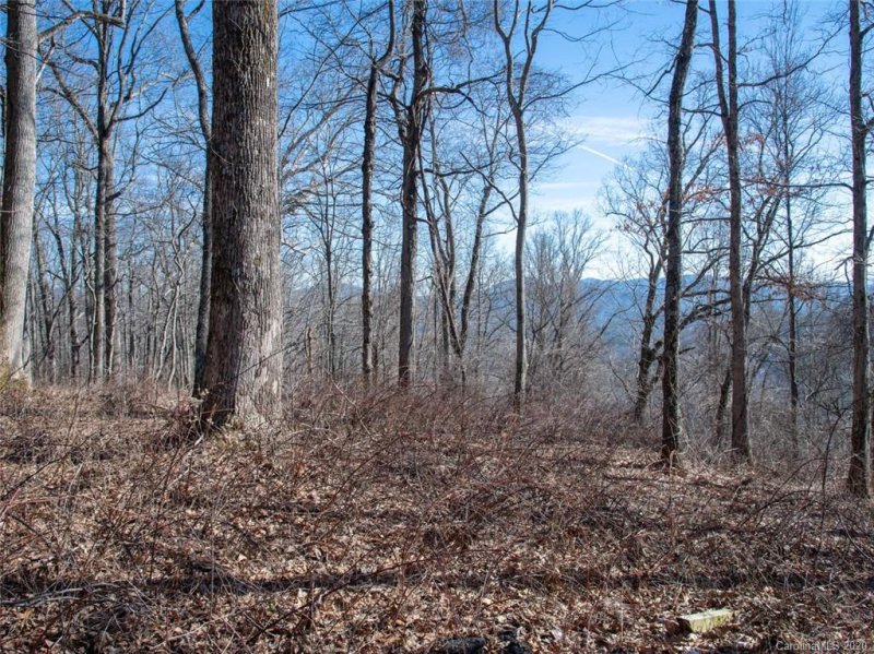 Property image 3 at 99999 Old Forest Drive, Asheville, NC 28803