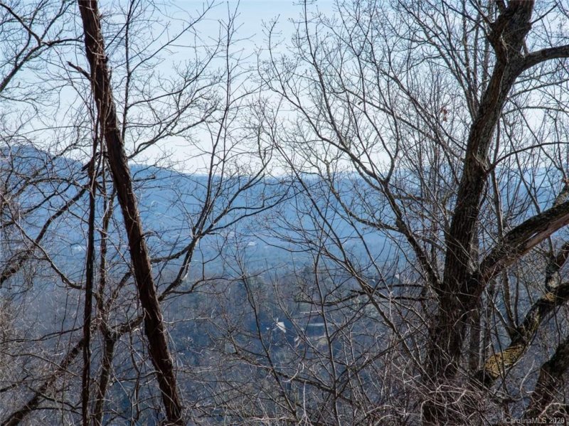 Property image 4 at 99999 Old Forest Drive, Asheville, NC 28803