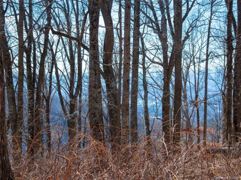 Property image 5 at 99999 Old Forest Drive, Asheville, NC 28803