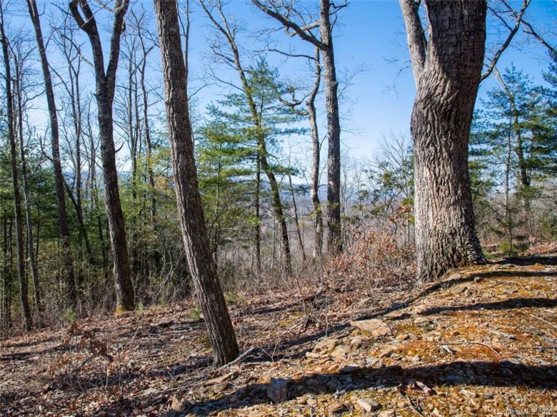 Property image 3 at 40 Giffords Lane, Asheville, NC 28803