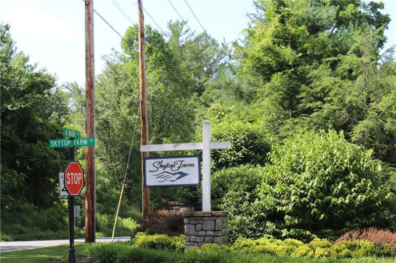 Property image 5 at 574 Skytop Farm Lane, Hendersonville, NC 28791