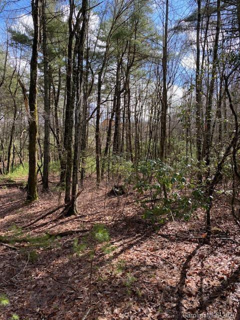 Property image 2 at Lot 163a Eagle Lake Drive, Brevard, NC 28712