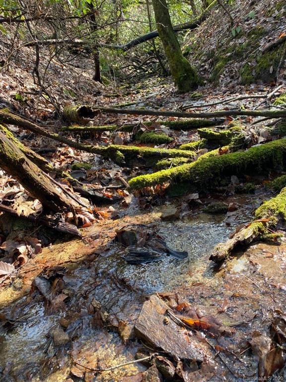 Property image 3 at Lot 163a Eagle Lake Drive, Brevard, NC 28712